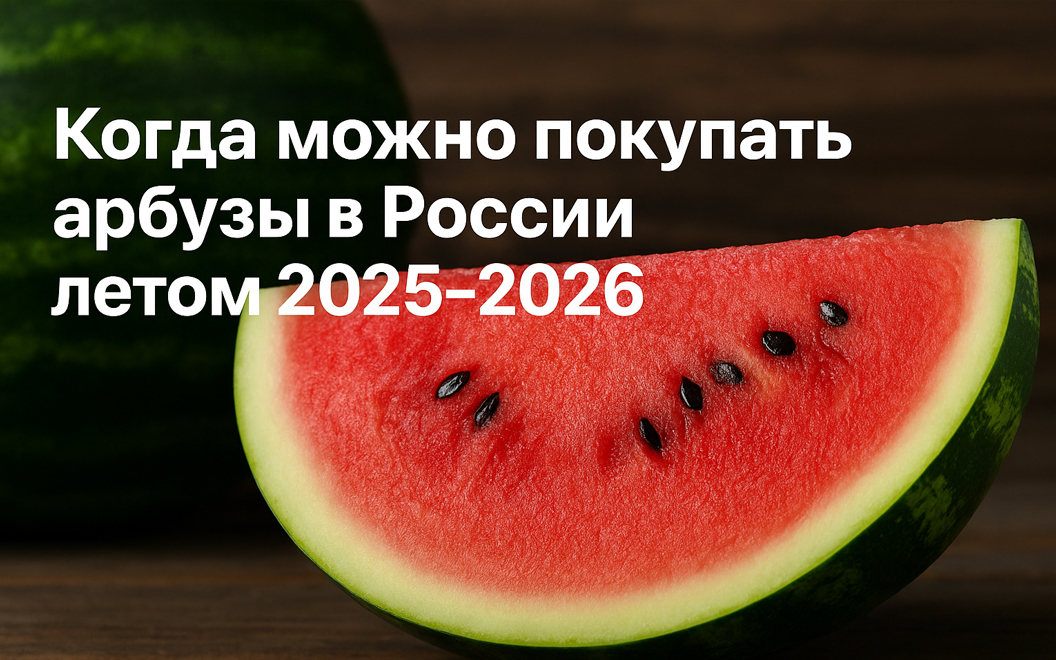 Когда можно покупать арбузы в России летом 2025-2026