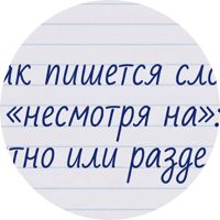 Изображение Как пишется слово «несмотря на»: слитно или раздельно